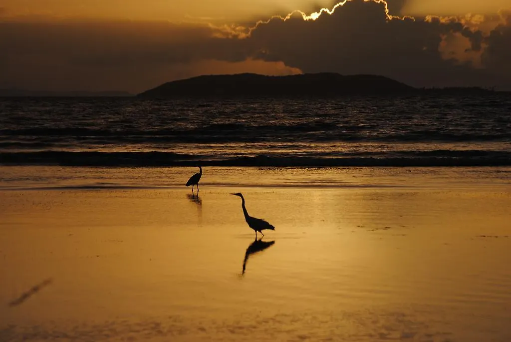 بيت للعطل Fajardo Peaceful Place Playa Sardinera